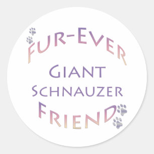 Sticker Rond Furever Schnauzer géant