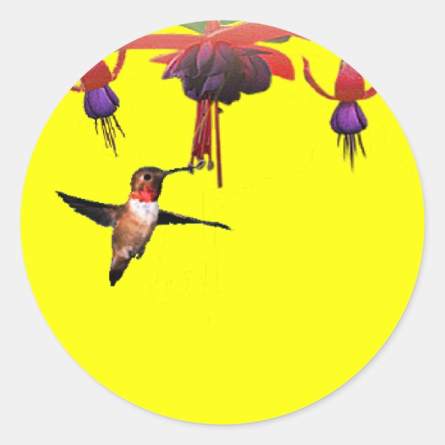 Sticker Rond Fushia et colibri (Devant)