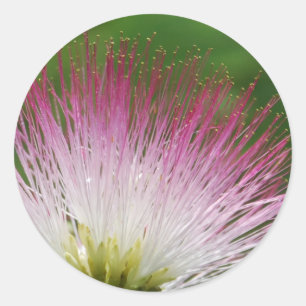 Sticker Rond Fuzzy Mimosa