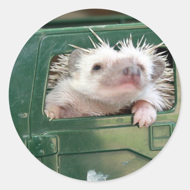 Sticker Rond G.I. Hedgehog (Devant)