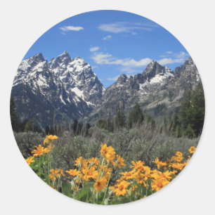 Sticker Rond Gamme de Grand Teton couvert de neige avec fleurs