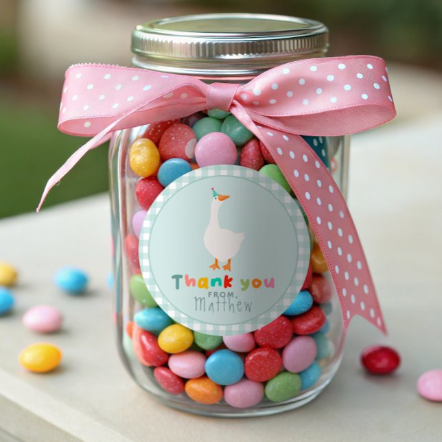 Sticker Rond Garçons Silly Goose Premier Anniversaire En vichy  (Créateur téléchargé)