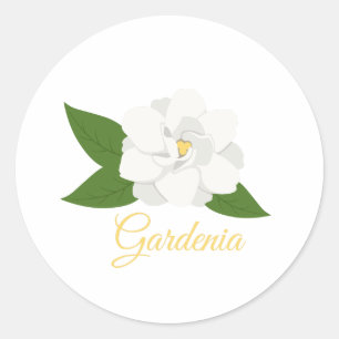 Sticker Rond Gardenia