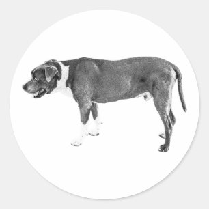 Sticker Rond Gardien de la récolte éffrayante