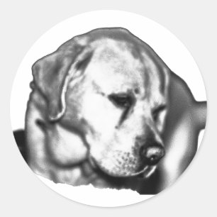 Sticker Rond Gazon de décoloration