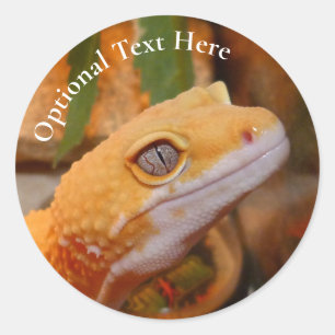 Sticker Rond Gecko jaune léopard