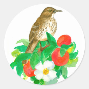 Sticker Rond Georgia Peach State Bird Roses blanches