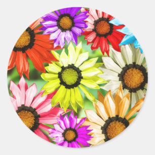 Sticker Rond Gerbera fleurie colorée