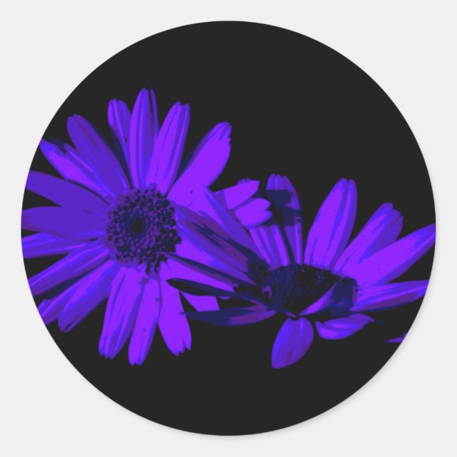 Sticker Rond Gerbera la nuit 1 (Devant)