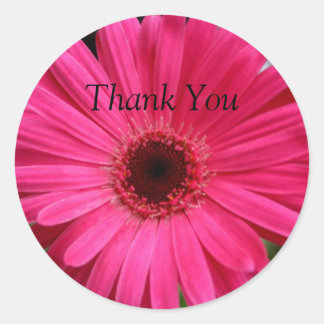 Sticker Rond Gerbera Rose Daisy