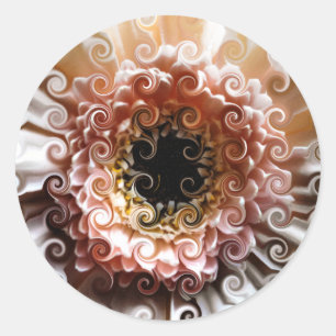 STICKER ROND GERBERAS