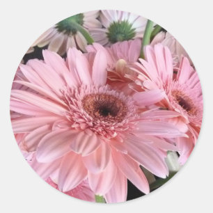 Sticker Rond gerberas roses