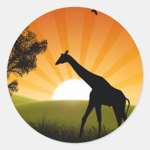 Sticker Rond Girafe En Mouvement
