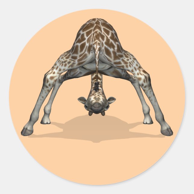 Sticker Rond Girafe flexible (Devant)