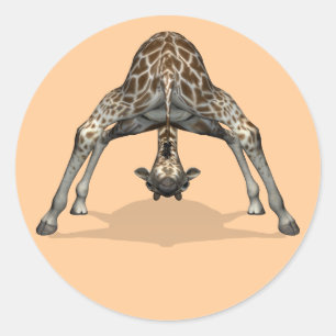 Sticker Rond Girafe flexible