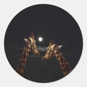 Sticker Rond Giraffe Love In the Moonlight