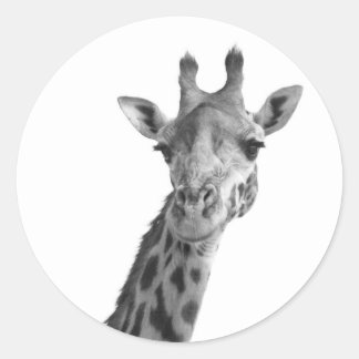 Sticker Rond Giraffe noire et blanche