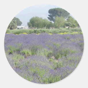 Sticker Rond Gisements de lavande