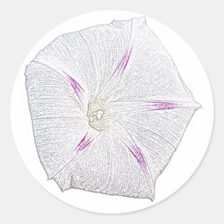 Sticker Rond Glory White du matin