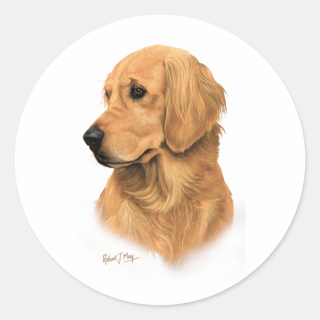 Sticker Rond Golden Retriever (Devant)