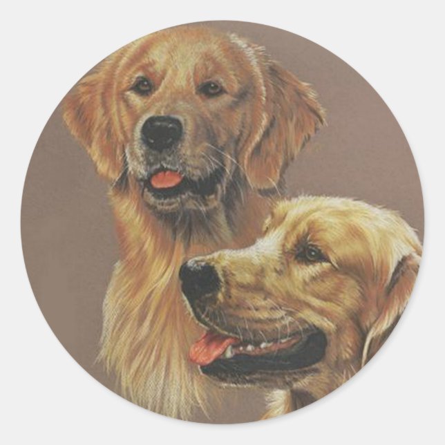 Sticker Rond Golden Retriever (Devant)