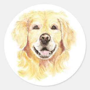 Sticker Rond Golden Retriever Chien Animal animal Aquarelle
