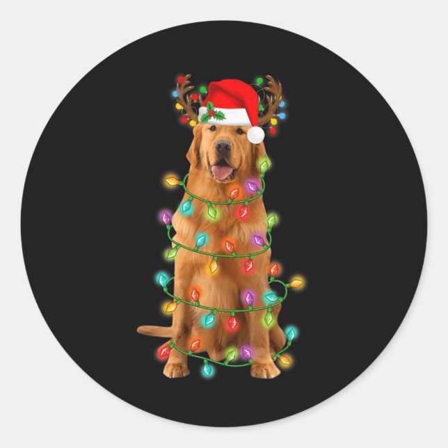 Sticker Rond Golden Retriever Christmas Tree Lights Pyjama Chie (Devant)