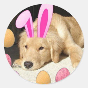 Sticker Rond Golden Retriever de Pâques