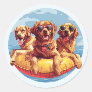 Sticker Rond Golden Retriever Dogs - Flottes de la piscine d'ét