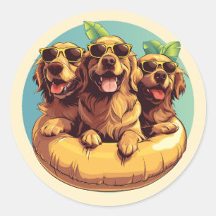 Sticker Rond Golden Retriever Dogs - Flottes de la piscine d'ét
