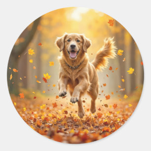 Sticker Rond Golden Retriever En Automne Woods
