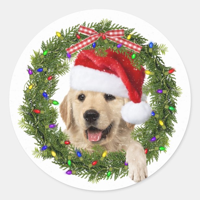 Sticker Rond Golden Retriever en couronne avec casquette de Noë (Devant)