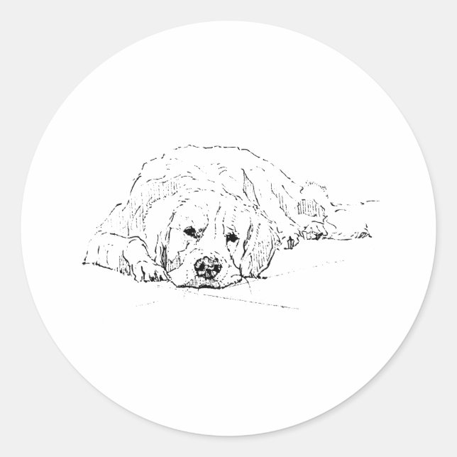 Sticker Rond Golden Retriever endormi, Dessin de chien (Devant)