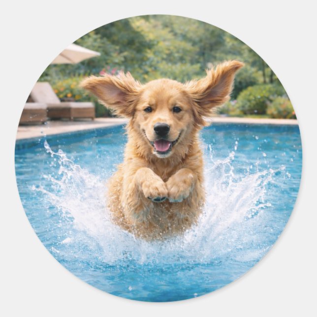 Sticker Rond Golden Retriever Puppy Pool Plunge (Devant)