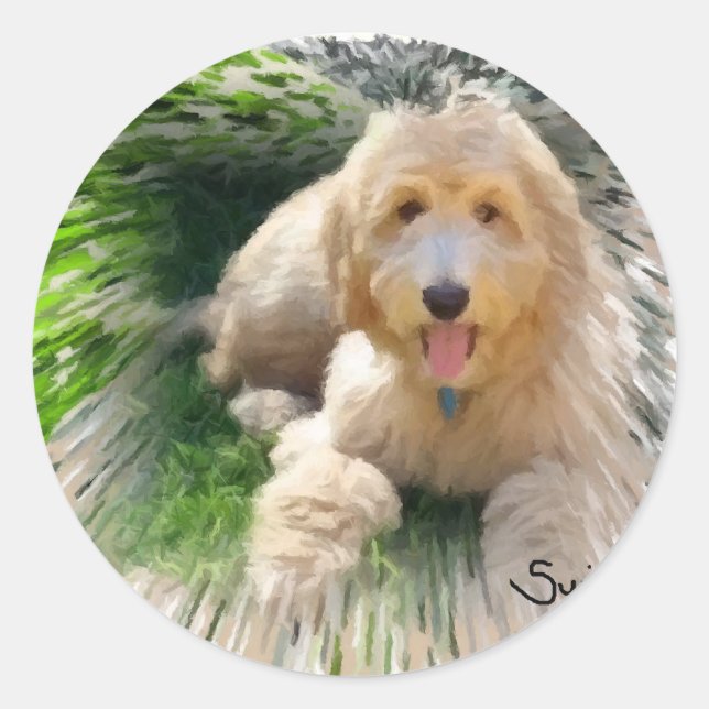 Sticker Rond Goldendoodle Labradodle (Devant)
