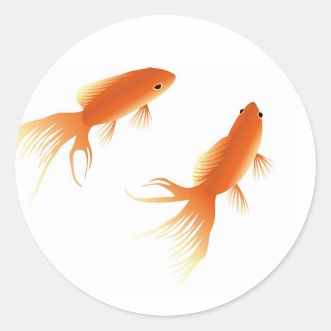 STICKER ROND GOLDFISH (Devant)