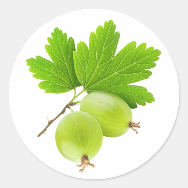 Sticker Rond Gooseberries (Devant)
