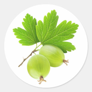 Sticker Rond Gooseberries