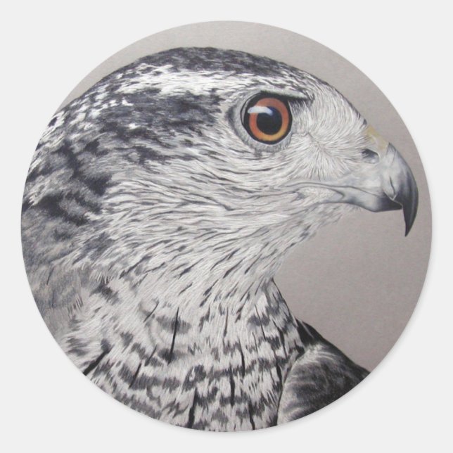 Sticker Rond Goshawk du Nord (Devant)
