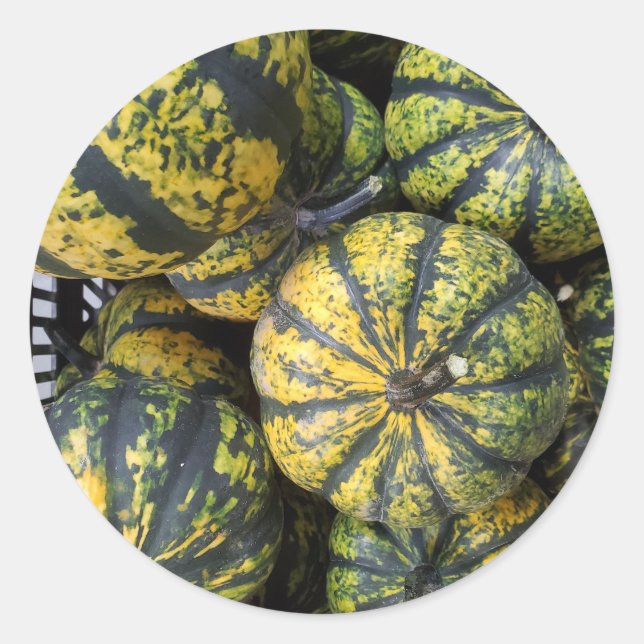 Sticker Rond Gourdes (Devant)