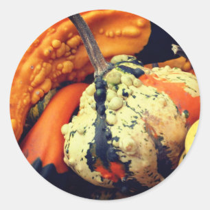 Sticker Rond Gourdes fantaisie Nature