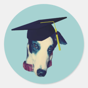 Sticker Rond Graduation de Greyhound Cap Funny