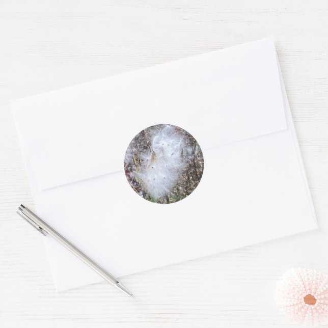 Sticker Rond Graines et soie d'algues (Enveloppe)