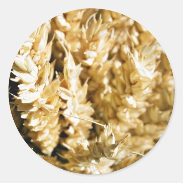 Sticker Rond Graines Plantes (Devant)