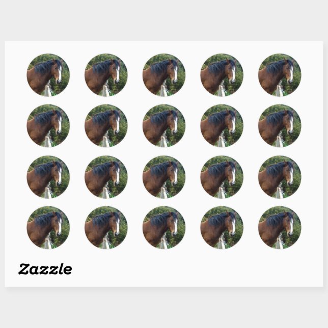 Sticker Rond Grand Cheval Brown de Clydesdale, (Feuille)