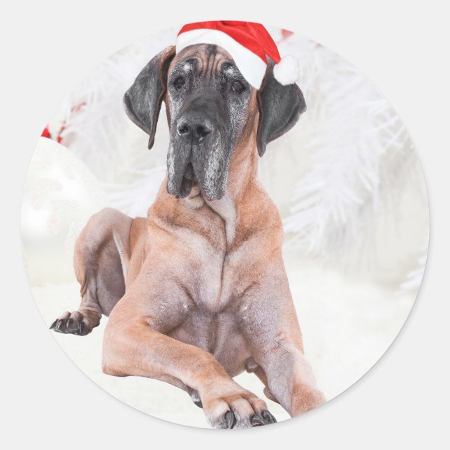Sticker Rond Grand chien Danse Casquette Joyeux Noël (Devant)