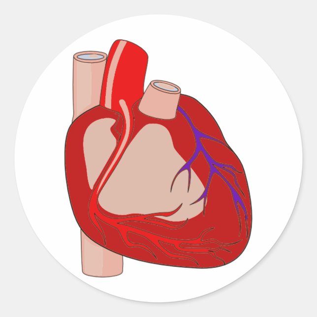 Sticker Rond Grand Coeur (Devant)