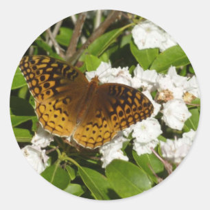Sticker Rond Grand Fritillaire à Miradors sur Kalmia à Feuilles