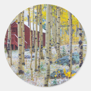 Sticker Rond Grand Mesa Cabine isolée dans une forêt