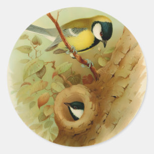 Sticker Rond Grand métis - Oiseau coloré, Art